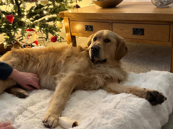 Michael's review photo