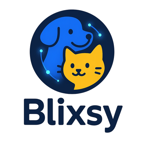 Blixsy